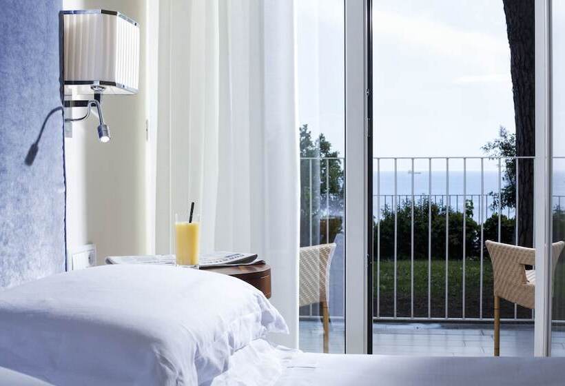 اتاق استاندارد یک نفره با چشمانداز دریا, Riviera & Maximilian's