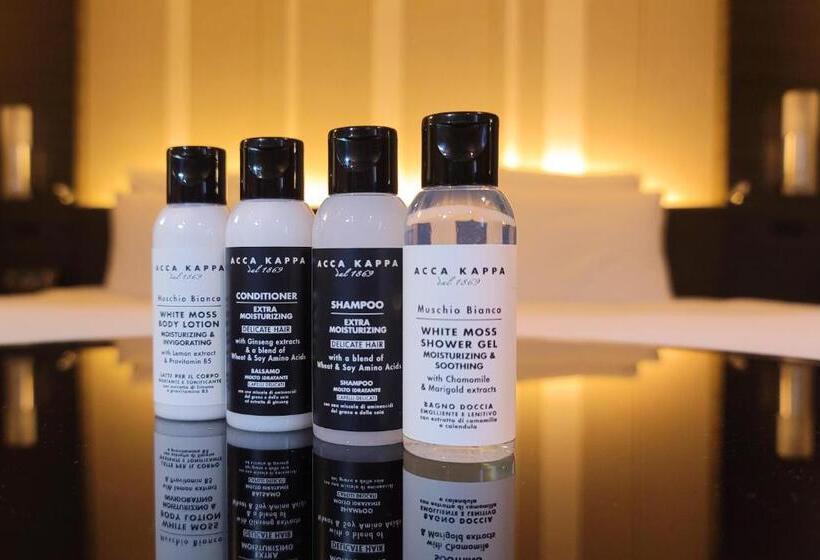 프리미엄 룸, Ana Crowne Plaza Fukuoka, An Ihg