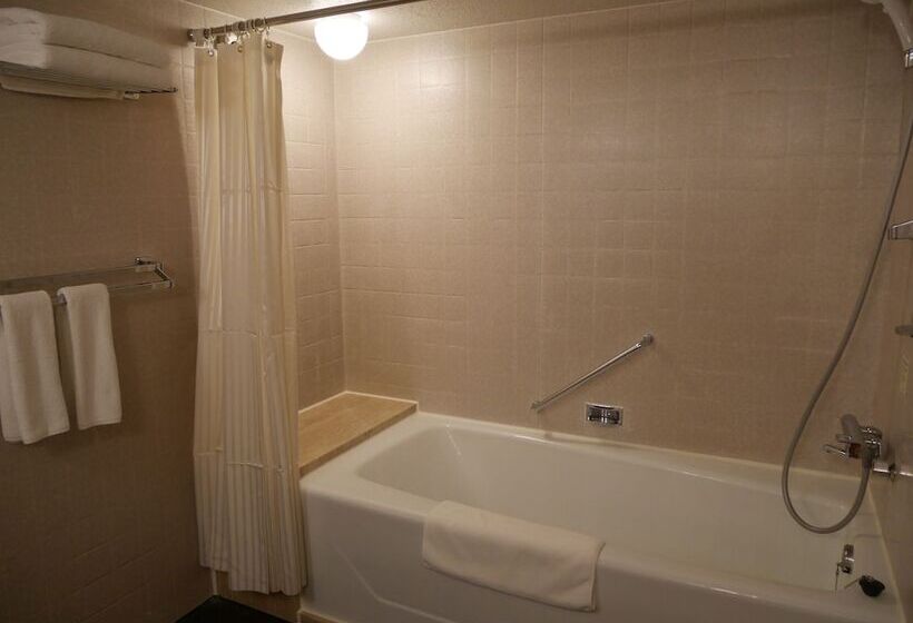 Номер Премиум, Ana Crowne Plaza Fukuoka, An Ihg