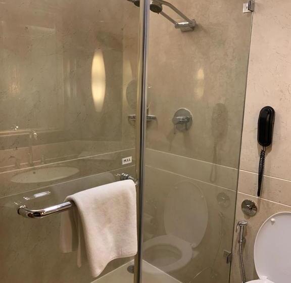 高级大房间, Blue Diamond Pune Ihcl Seleqtions