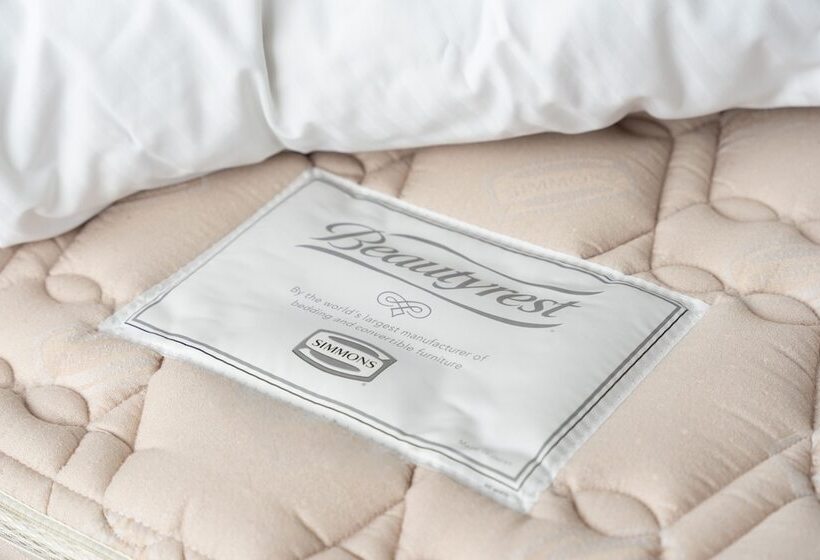 غرفة قياسية فردية, Premier Hotel   Cabin President   Hakodate