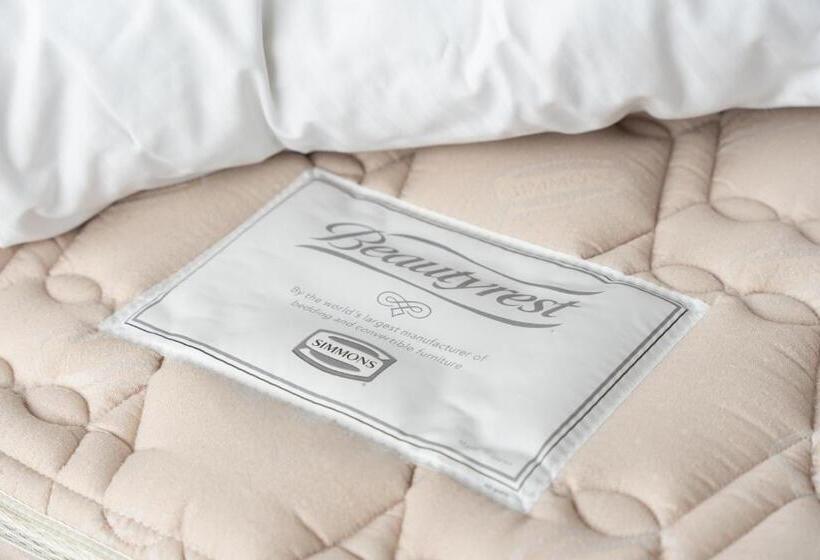 غرفة قياسية, Premier Hotel   Cabin President   Hakodate