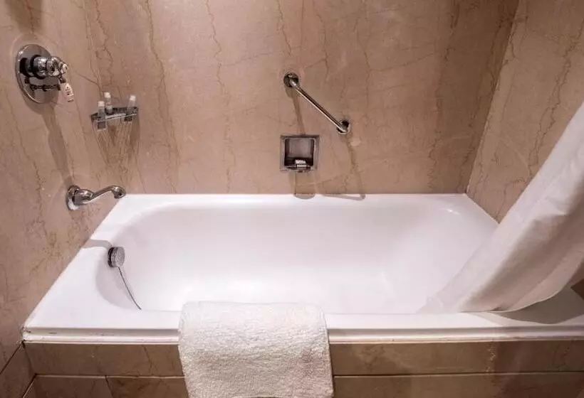 スイート, The Claridges New Delhi