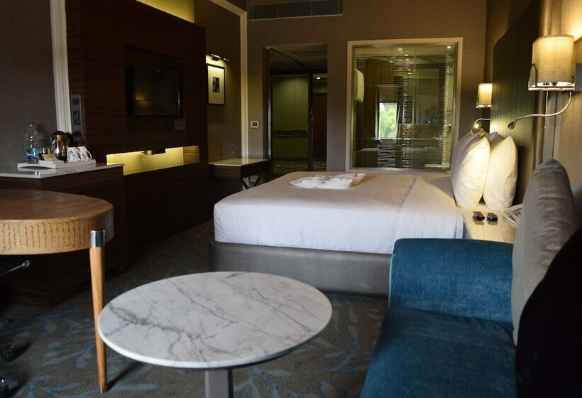 行政房间, The Piccadily  Chandigarh