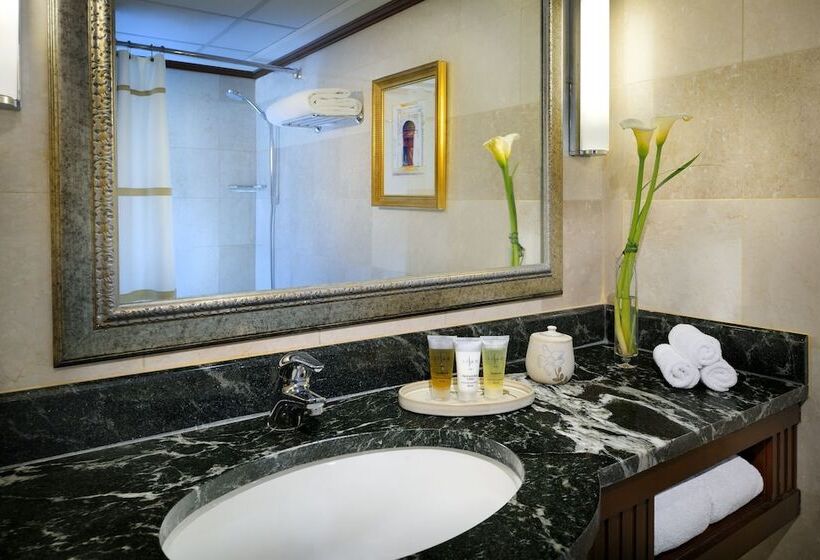 غرفة ديلوكس, Amman Marriott