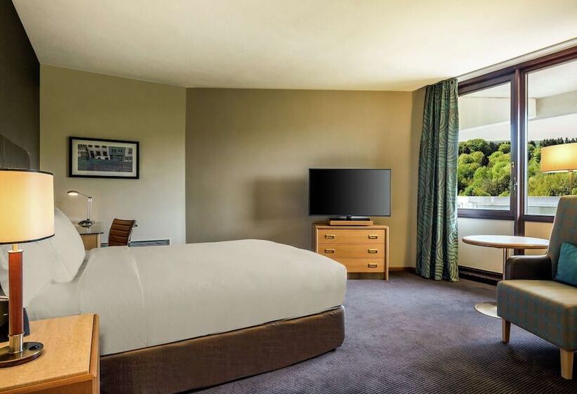 اتاق سوپریور, Doubletree By Hilton Luxembourg