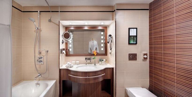 اتاق اجرایی, Hilton Yaounde