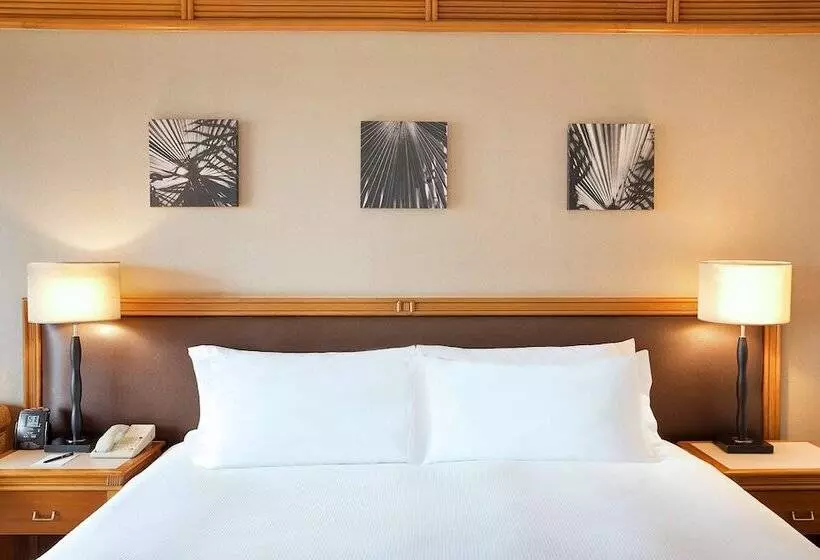 اتاق اجرایی, Hilton Yaounde