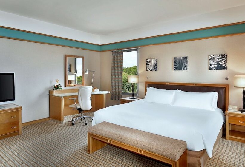 غرفة تنفيذية, Hilton Yaounde