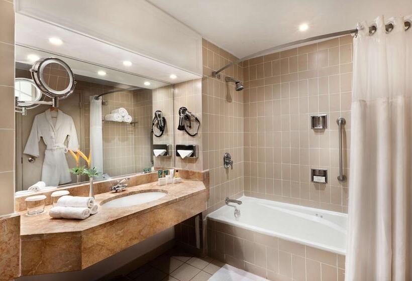 اتاق استاندارد, Hilton Yaounde