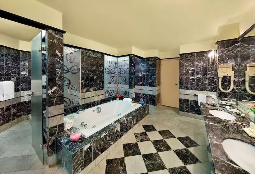 سوئیت ریاست جمهوری سه خوابه, Hilton Yaounde