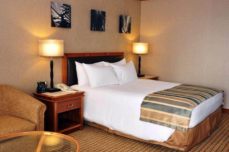 غرفة قياسية سرير كينج, Hilton Yaounde
