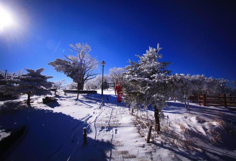 إستوديو قياسى, Mona Yongpyong