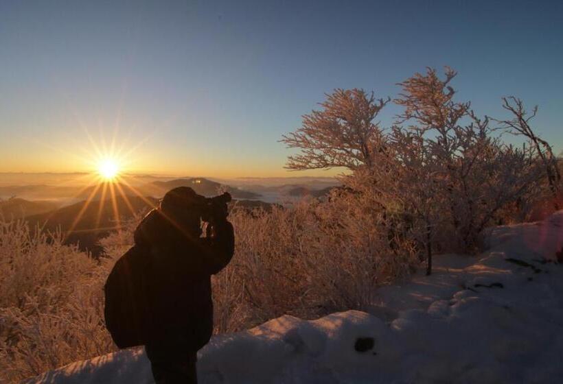 إستوديو قياسى, Mona Yongpyong