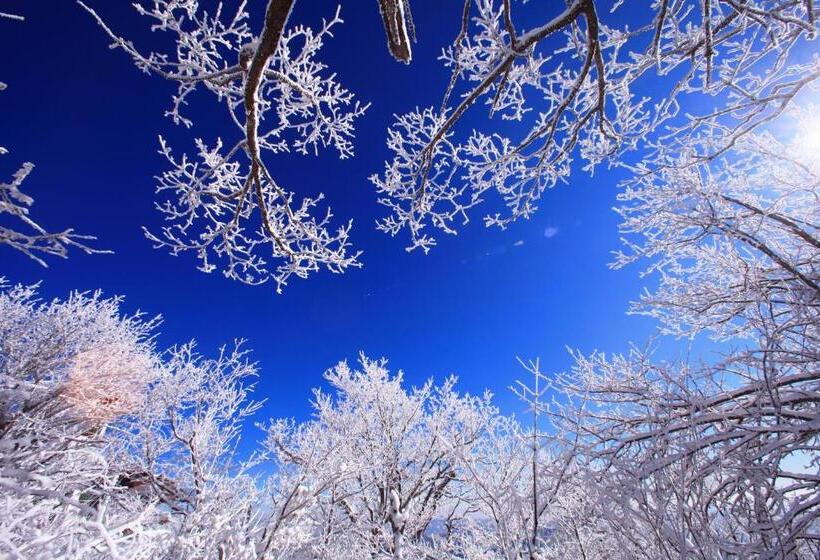 غرفة عائلية, Mona Yongpyong