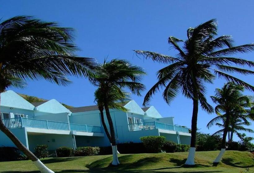 اتاق استاندارد با چشمانداز دریا, Timothy Beach Resort