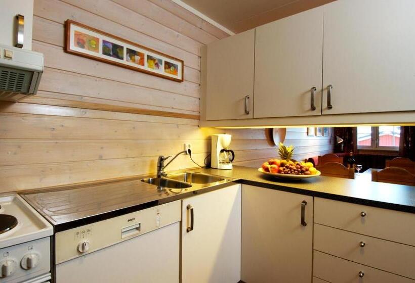 آپارتمان 1 خوابه, Birkebeineren Hotel & Apartments