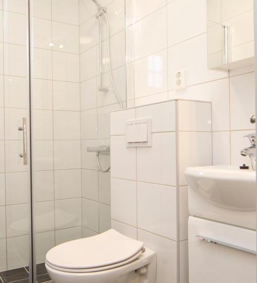 آپارتمان 1 خوابه, Birkebeineren Hotel & Apartments