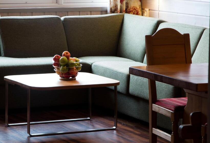 Апартаменты 1 Спальня, Birkebeineren Hotel & Apartments