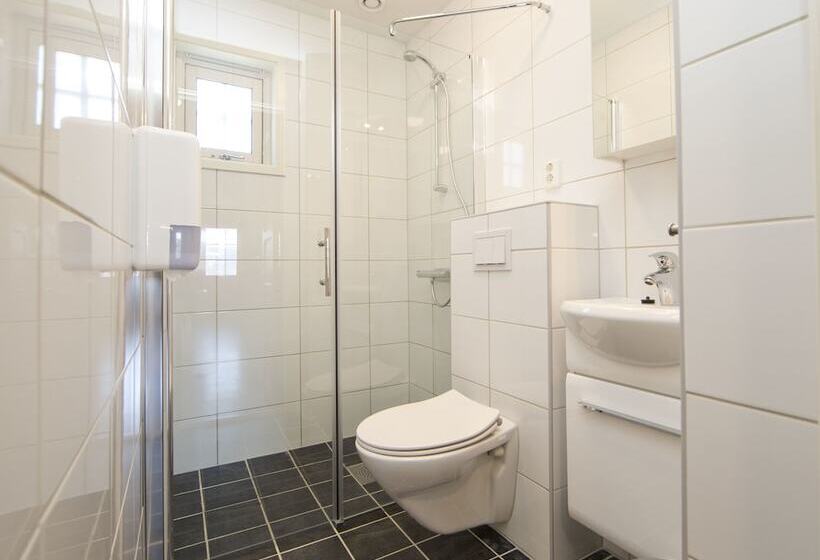 آپارتمان 1 خوابه, Birkebeineren Hotel & Apartments