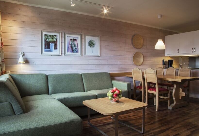 Апартаменты 1 Спальня, Birkebeineren Hotel & Apartments