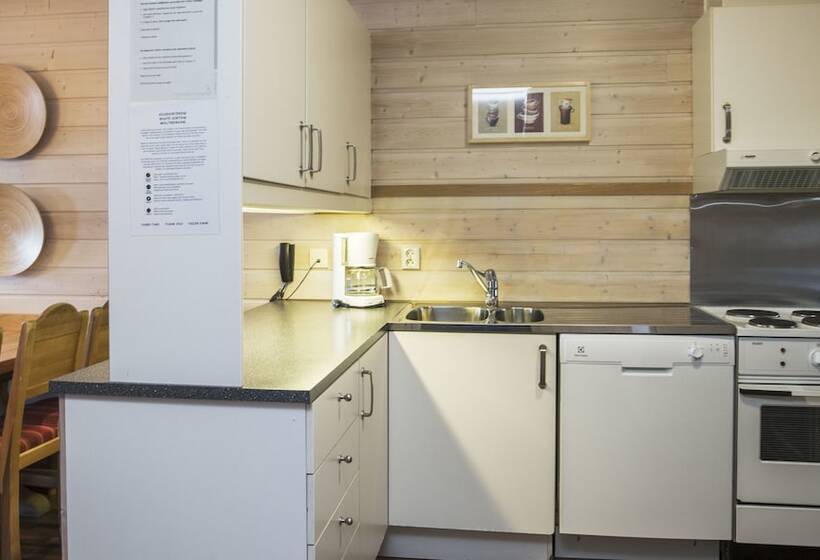 آپارتمان 1 خوابه, Birkebeineren Hotel & Apartments