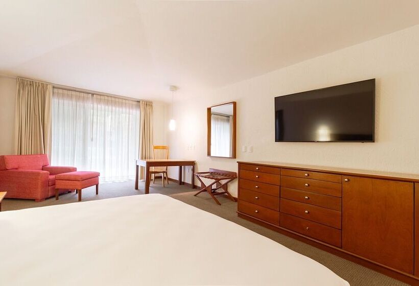 Номер Deluxe Кровать Кинг, Camino Real Guadalajara