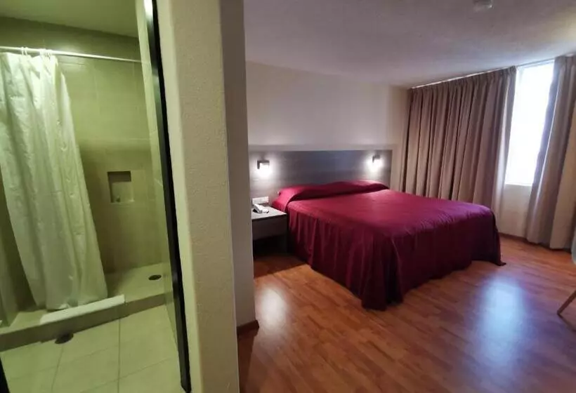اتاق استاندارد با تخت بزرگ, Del Angel Reforma