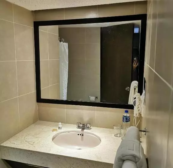 اتاق استاندارد با تخت بزرگ, Del Angel Reforma