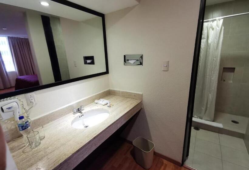 스탠다드 룸 킹사이즈 침대, Del Angel Reforma