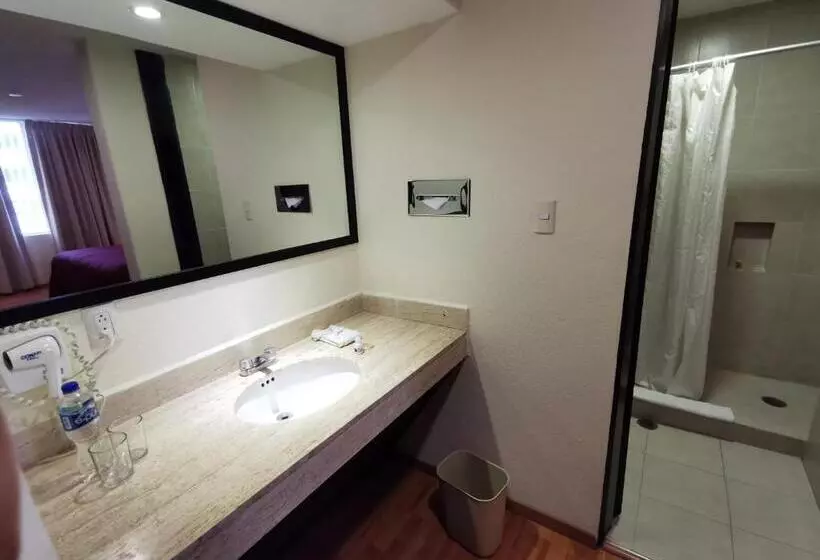 اتاق استاندارد با تخت بزرگ, Del Angel Reforma