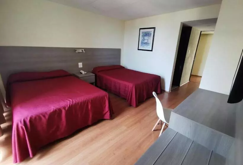 اتاق استاندارد با 2 تخت دوبل, Del Angel Reforma