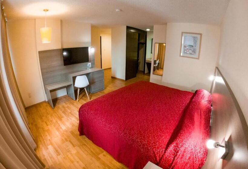 스탠다드 룸 킹사이즈 침대, Del Angel Reforma