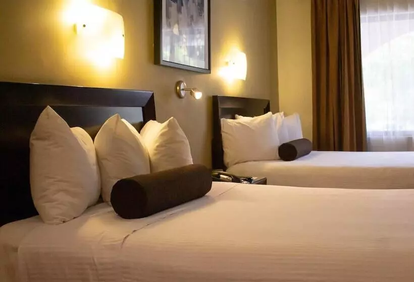 Standard-huone, Del Rio
