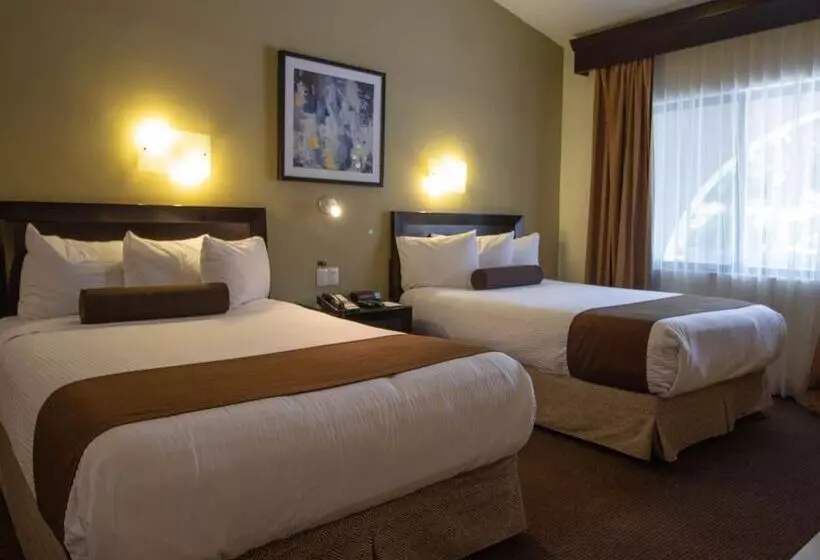 Standard-huone, Del Rio