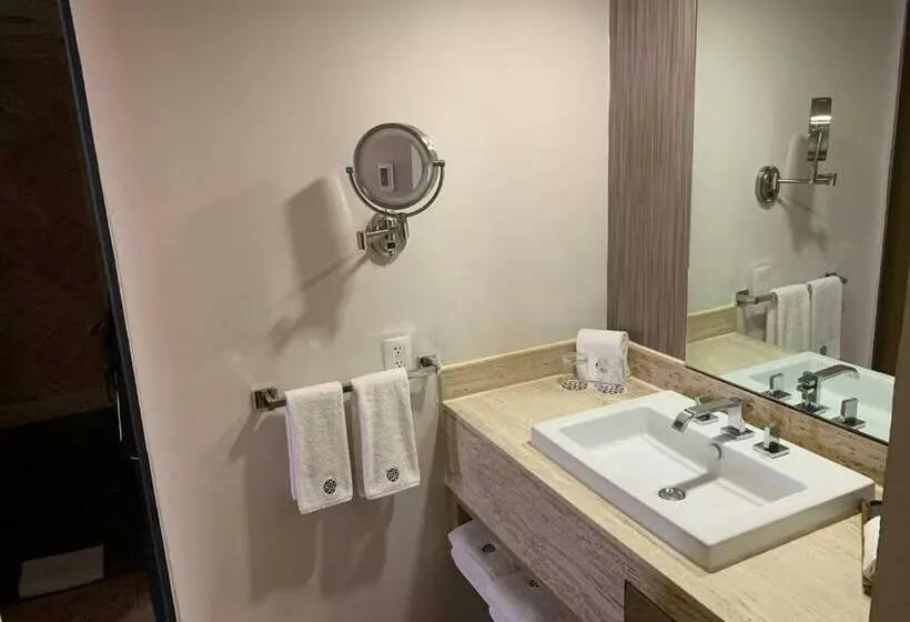 سوئیت مستر, Galeria Plaza Reforma