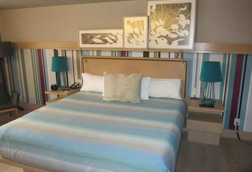 اتاق استاندارد با تخت بزرگ, Galeria Plaza Reforma