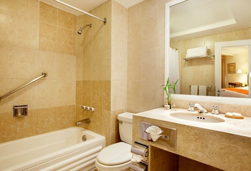 Номер Deluxe, Geneve Cd De Mexico