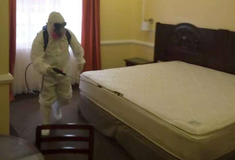 Люкс, Geneve Cd De Mexico