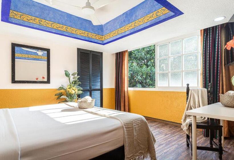 スタンダードルーム, Soy Local Cdmx