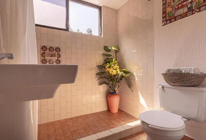 スタンダードルーム, Soy Local Cdmx