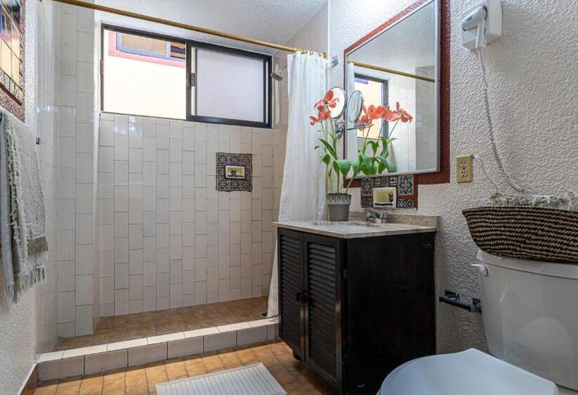 デラックスルーム, Soy Local Cdmx