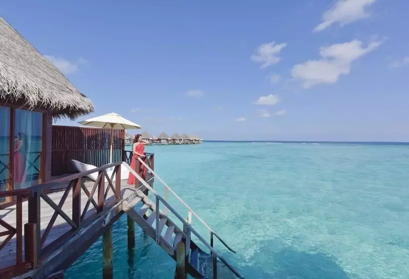 بانگلوی استاندارد, Thulhagiri Island Resort & Spa