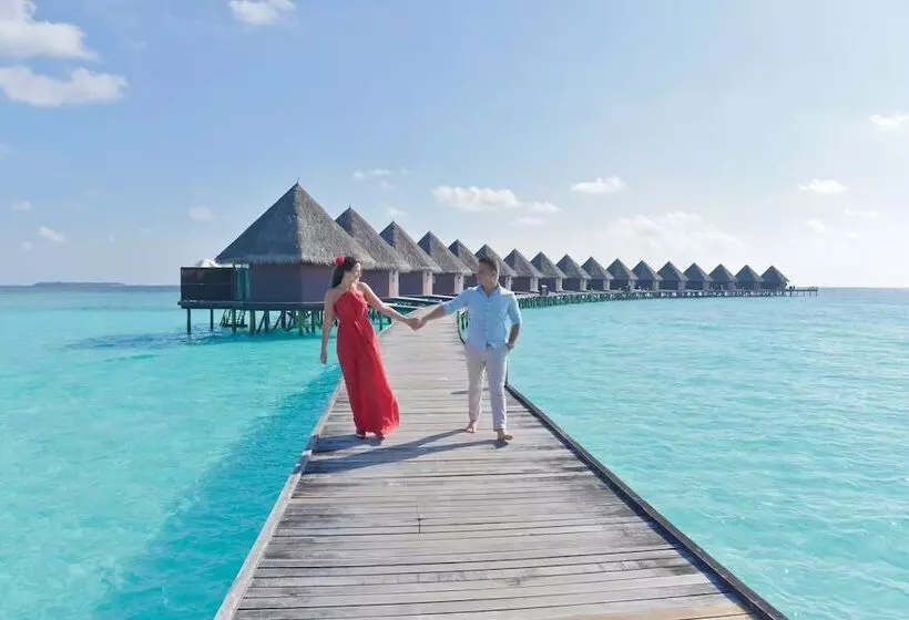 بانگلوی استاندارد, Thulhagiri Island Resort & Spa