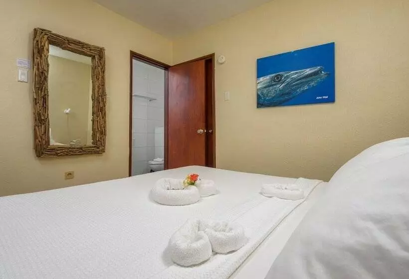 آپارتمان 1 خوابه, Buddy Dive Resort