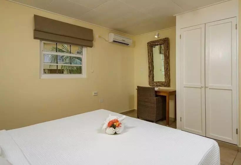 آپارتمان 2 خوابه, Buddy Dive Resort