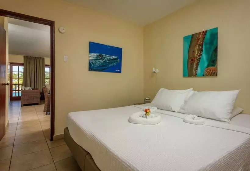 آپارتمان 2 خوابه, Buddy Dive Resort