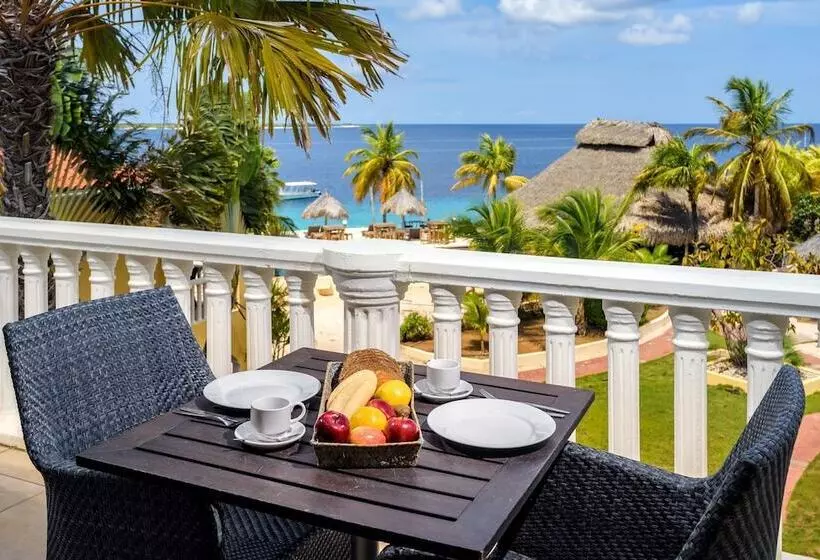 آپارتمان 3 خوابه, Buddy Dive Resort