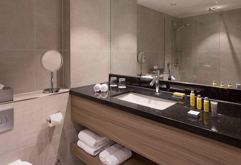 Номер Deluxe, Amsterdam Marriott