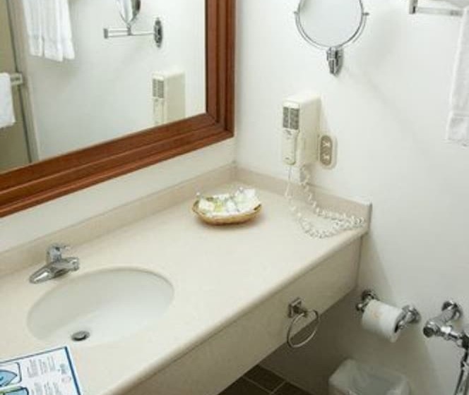חדר דחוקס עם מיטת קינג, Globales Camino Real Managua